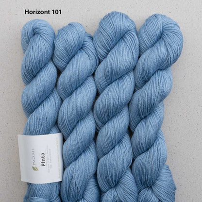 Pascuali Pinta Strickgarn – Horizont 101