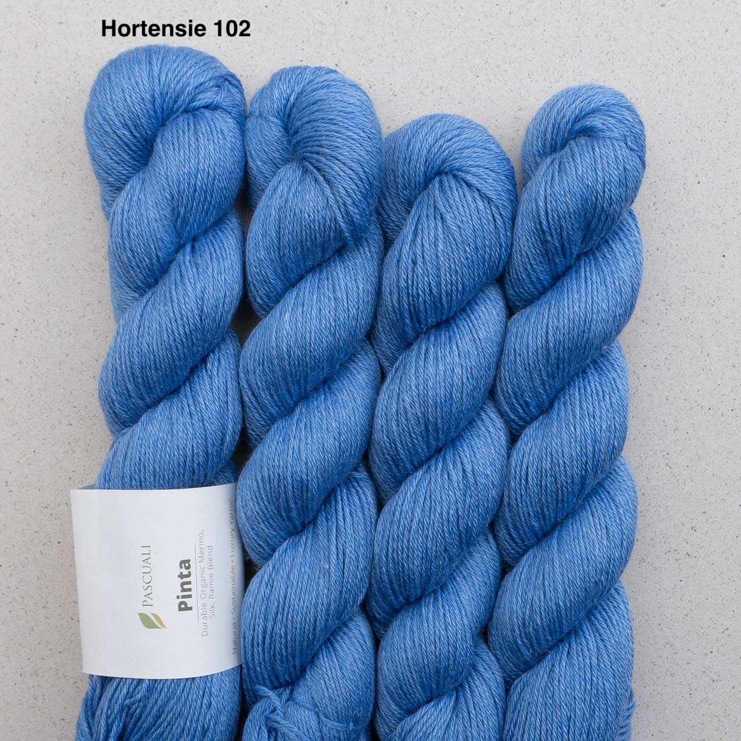 Pascuali Pinta Strickgarn – Hortensie 102