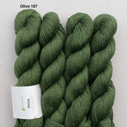 Pascuali Pinta Strickgarn – Olive 107