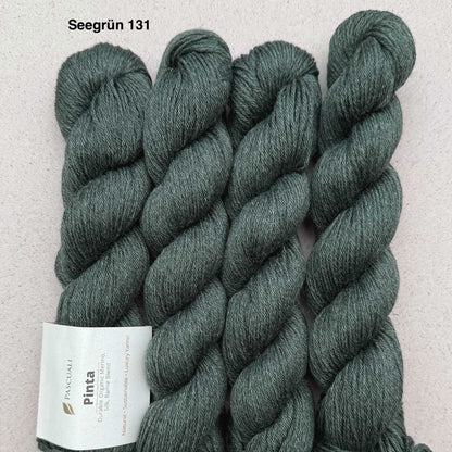 Pascuali Pinta Strickgarn – Seegrün 131